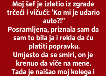 SLUČAJNO SAM OGREBALA ŠEFOV AUTO – A ONDA JE KOLEGA OTKRIO ŠTA JE ŠEF URADIO MOM AUTOMOBILU…