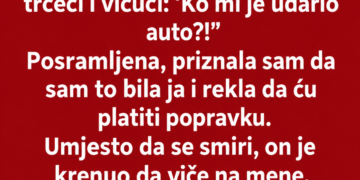 SLUČAJNO SAM OGREBALA ŠEFOV AUTO – A ONDA JE KOLEGA OTKRIO ŠTA JE ŠEF URADIO MOM AUTOMOBILU…