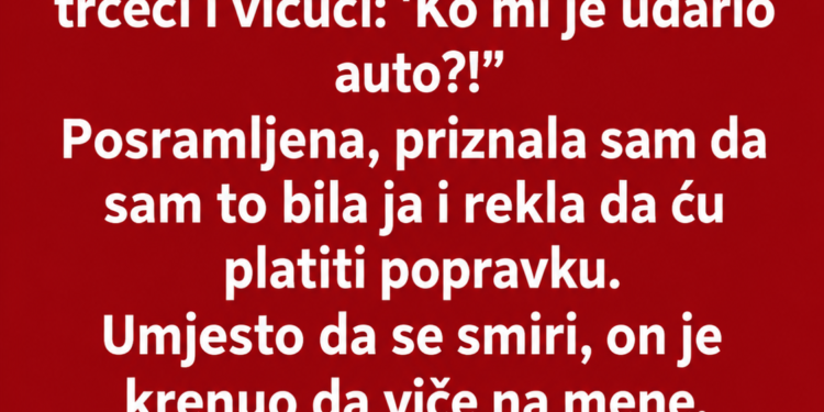 SLUČAJNO SAM OGREBALA ŠEFOV AUTO – A ONDA JE KOLEGA OTKRIO ŠTA JE ŠEF URADIO MOM AUTOMOBILU…