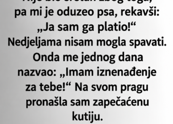 OSTAVILA SAM MUŽA ZBOG PREVARE, A ON MI JE ODUZEO PSA: ONDA ME JE NA PRAGU SAČEKALA ZAPEČAĆENA KUTIJA…