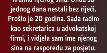 ČUVALA SAM NJENOG SINA KAO SVOG, A ONDA SU NESTALI – 20 GODINA KASNIJE UŠAO JE U MOJU KANCELARIJU I REKAO OVE RIJEČI!