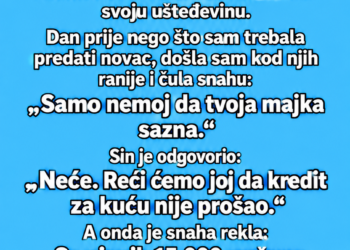 SIN I SNAHA SU MI TRAŽILI 15.000 KM ZA KUĆU – A ONDA SAM SLUČAJNO ČULA NJIHOV PLAN