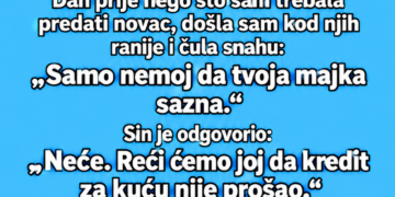 SIN I SNAHA SU MI TRAŽILI 15.000 KM ZA KUĆU – A ONDA SAM SLUČAJNO ČULA NJIHOV PLAN