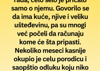 POSLE 30 GODINA VRATIO SE IZ AUSTRIJE – A ONDA JE ODLUKOM O NASLJEDSTVU ŠOKIRAO CIJELU PORODICU!