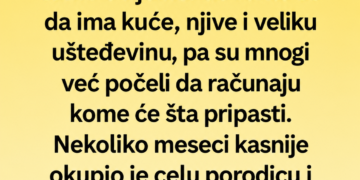 POSLE 30 GODINA VRATIO SE IZ AUSTRIJE – A ONDA JE ODLUKOM O NASLJEDSTVU ŠOKIRAO CIJELU PORODICU!