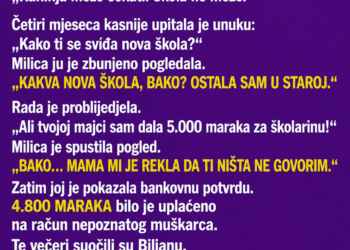 SNAHA JE SVEKRVI TRAŽILA NOVAC ZA UNUKOVU ŠKOLARINU – A ONDA JE BAKA SLUČAJNO OTKRILA DA JE NOVAC OTIŠAO NA SASVIM DRUGU ADRESU