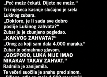SNAHA JE SVEKRVI REKLA DA JOJ TREBA NOVAC ZA UNUKOV ZUBARSKI ZAHVAT – A ONDA JE BAKA SLUČAJNO SRELA ZUBARA