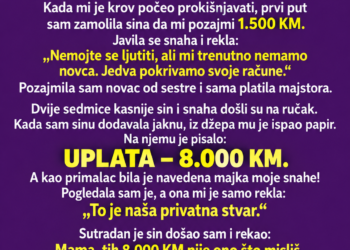SNAHA JE REKLA DA MOJ SIN NEMA NOVCA DA MI POMOGNE – A ONDA SAM U NJEGOVOJ JAKNI PRONAŠLA UPLATNICU