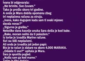 SNAHA JE SVEKRVI GOVORILA DA ČUVA NJEN NOVAC – A ONDA JE UNUKA SLUČAJNO OTKRILA ŠTA SE ZAISTA DOGAĐA