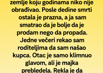 HTIO SAM DA PRODAM DEDOVINU – A ONDA MI JE MAJKA OTKRILA DEDINU TAJNU!