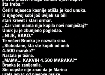 SNAHA JE SVEKRVI REKLA DA JOJ TREBA NOVAC ZA DJEČIJI KREVET – A ONDA JE BAKA U UNUKOVOJ SOBI VIDJELA NEŠTO ČUDNO