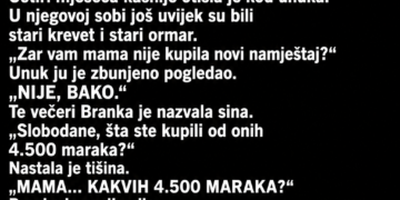 SNAHA JE SVEKRVI REKLA DA JOJ TREBA NOVAC ZA DJEČIJI KREVET – A ONDA JE BAKA U UNUKOVOJ SOBI VIDJELA NEŠTO ČUDNO
