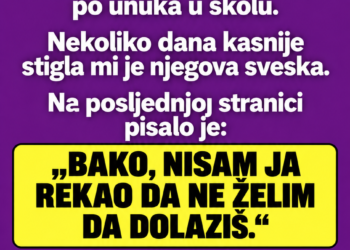 SNAHA MI JE ZABRANILA DA VIĐAM UNUKA: A onda mi je stigla njegova školska sveska sa porukom koja je sve promijenila…