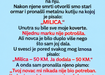 SVEKRVA JE SVAKOG MJESECA TRAŽILA OD SNAHE 50 MARAKA — KADA JE UMRLA, U ORMARU SU PRONAŠLI KUTIJU SA NJENIM IMENOM