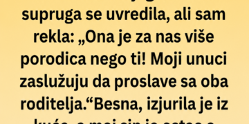 POZVALA SAM BIVŠU ŽENU SVOG SINA NA PORODIČNI RUČAK – NJEGOVA NOVA SUPRUGA JE IZJURILA, A SAT KASNIJE POLICIJA JE POKUCALA NA VRATA!