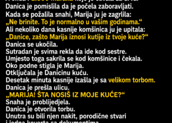 SVEKRVA JE SNAHI DALA KLJUČ OD SVOJE KUĆE – A ONDA JE JEDNOG DANA PRIMIJETILA DA NESTAJU STVARI