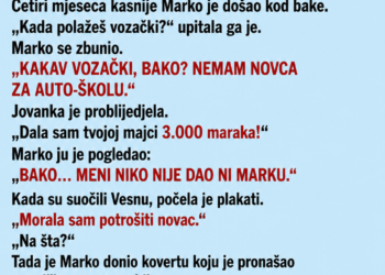 SNAHA JE SVEKRVI TRAŽILA NOVAC ZA UNUKOVU VOZAČKU – A ONDA JE BAKA SLUČAJNO SAZNALA DA UNUK NIJE NI UPISAO AUTO-ŠKOLU