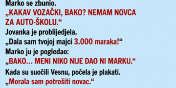 SNAHA JE SVEKRVI TRAŽILA NOVAC ZA UNUKOVU VOZAČKU – A ONDA JE BAKA SLUČAJNO SAZNALA DA UNUK NIJE NI UPISAO AUTO-ŠKOLU