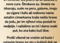 CIMERKE SU MI KRALE HRANU I SMIJALE SE IZA LEĐA – A ONDA JE GAZDA DOŠAO I REKAO SAMO JEDNU REČENICU…