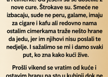 CIMERKE SU MI KRALE HRANU I SMIJALE SE IZA LEĐA – A ONDA JE GAZDA DOŠAO I REKAO SAMO JEDNU REČENICU…