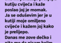 CIMERKA JE REKLA DA JOJ JE DEČKO POSLAO CVIJEĆE – A ONDA ME MOJ DEČKO POZVAO I OTKRIO ŠOKANTNU ISTINU!