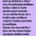 CIMERKA JE REKLA DA JOJ JE DEČKO POSLAO CVIJEĆE – A ONDA ME MOJ DEČKO POZVAO I OTKRIO ŠOKANTNU ISTINU!