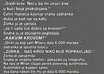 SIN JE MAJCI REKAO DA MU TREBA NOVAC ZA POPRAVKU KUĆE – A ONDA JE SNAHA SLUČAJNO OTKRILA ISTINU