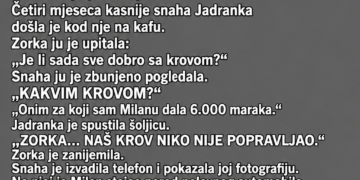 SIN JE MAJCI REKAO DA MU TREBA NOVAC ZA POPRAVKU KUĆE – A ONDA JE SNAHA SLUČAJNO OTKRILA ISTINU