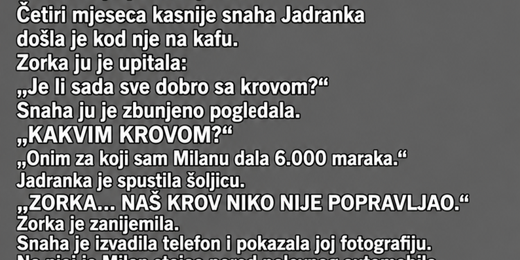 SIN JE MAJCI REKAO DA MU TREBA NOVAC ZA POPRAVKU KUĆE – A ONDA JE SNAHA SLUČAJNO OTKRILA ISTINU