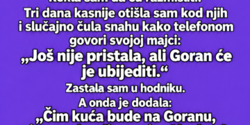 SIN JE TRAŽIO DA MU PREPIŠEM KUĆU – TRI DANA KASNIJE ČULA SAM ŠTA JE SNAHA REKLA MAJCI