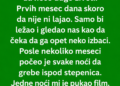 UDOMILI SMO PSA KOJEG NIKO NIJE HTIO – KADA JE POČEO KOPATI ISPOD STEPENICA, OTKRILI SMO TAJNU STARU 20 GODINA!