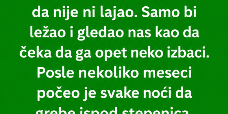 UDOMILI SMO PSA KOJEG NIKO NIJE HTIO – KADA JE POČEO KOPATI ISPOD STEPENICA, OTKRILI SMO TAJNU STARU 20 GODINA!