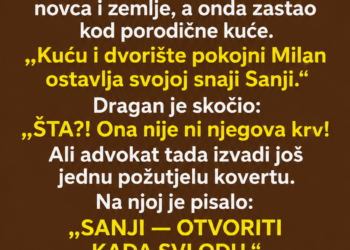 NA ČITANJU TESTAMENTA SVI SU SE SMIJALI SIROMAŠNOJ SNAJI: „TI OVDJE NEMAŠ ŠTA DA TRAŽIŠ!“