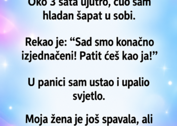 U 3 UJUTRO ČUO SAM JEZIV ŠAPAT PORED BEBINOG KREVETIĆA: Pogledali smo snimak kamere, a kada sam vidio ko stoji pred vratima — SLEDIO SAM SE!