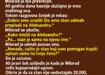 DAO SAM SINU 20.000 MARAKA ZA STAN – A ONDA JE UNUK OTKRIO GDJE JE NESTALO 12.000